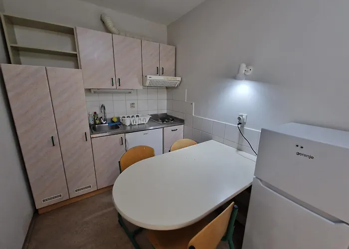 Rozna Dolina, Dom Xiv * Liubliana